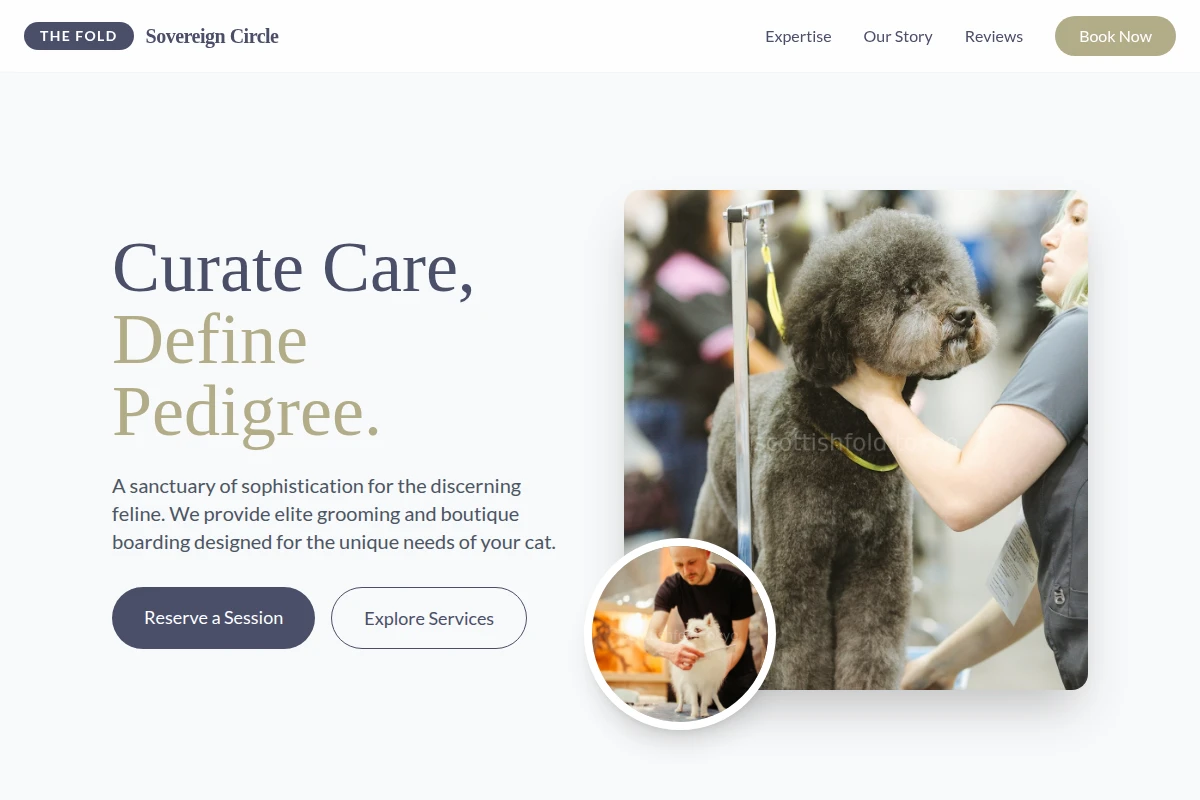 Cattery Pet Grooming