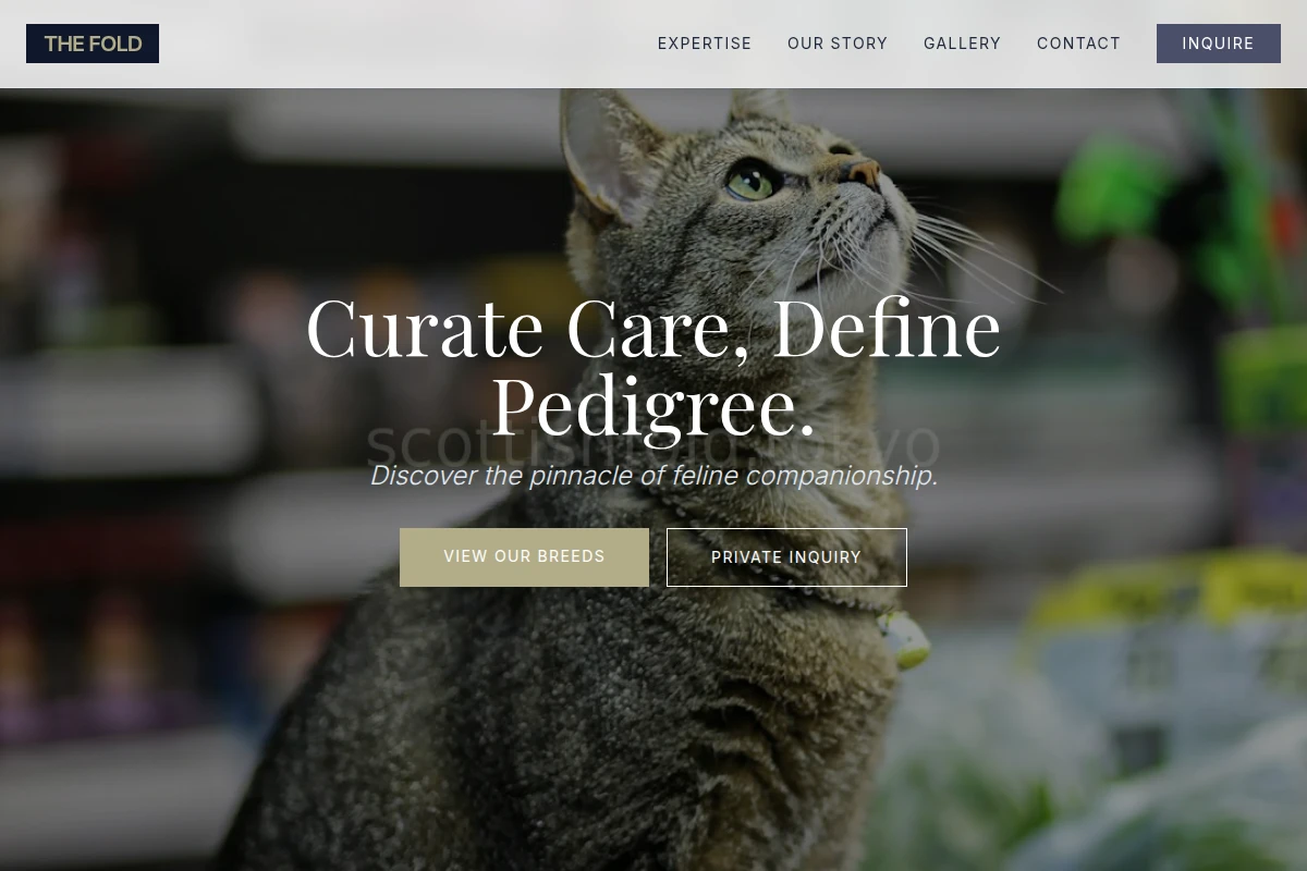 Kitten Pet Shop